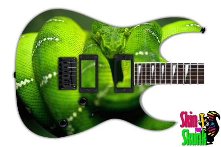  Guitar Skin Animals Python 