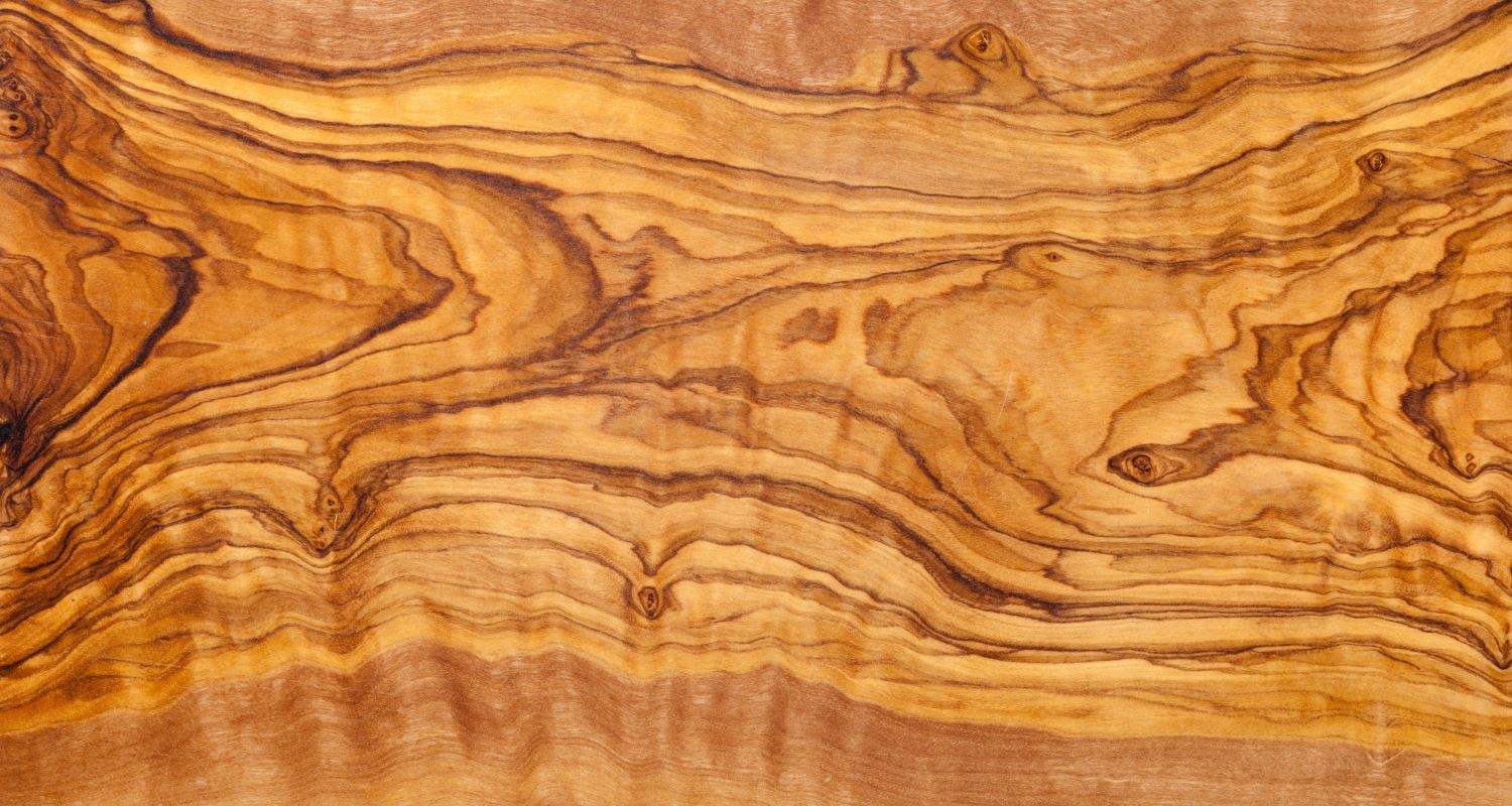 Olive tree wood slice with texture and details