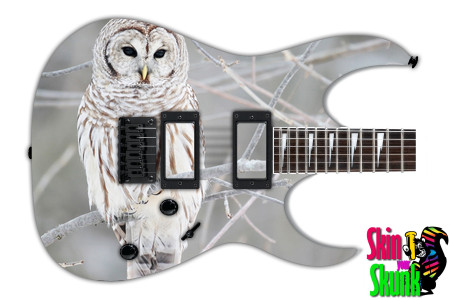  Guitar Skin Animals Snow 