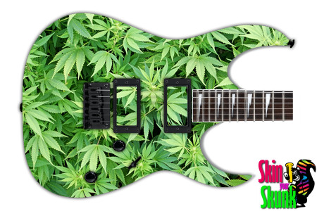  Guitar Skin Elements Pot 